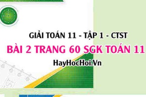 Giải bài 2 trang 60 Toán 11 tập 1 SGK Chân trời sáng tạo